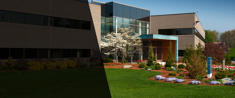 Eugene Landscapers