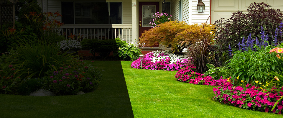 Eugene Landscapers