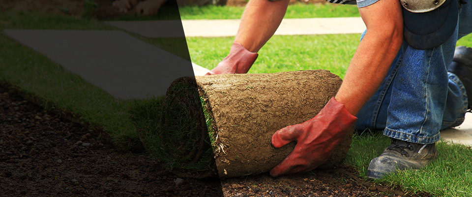 Eugene Landscapers